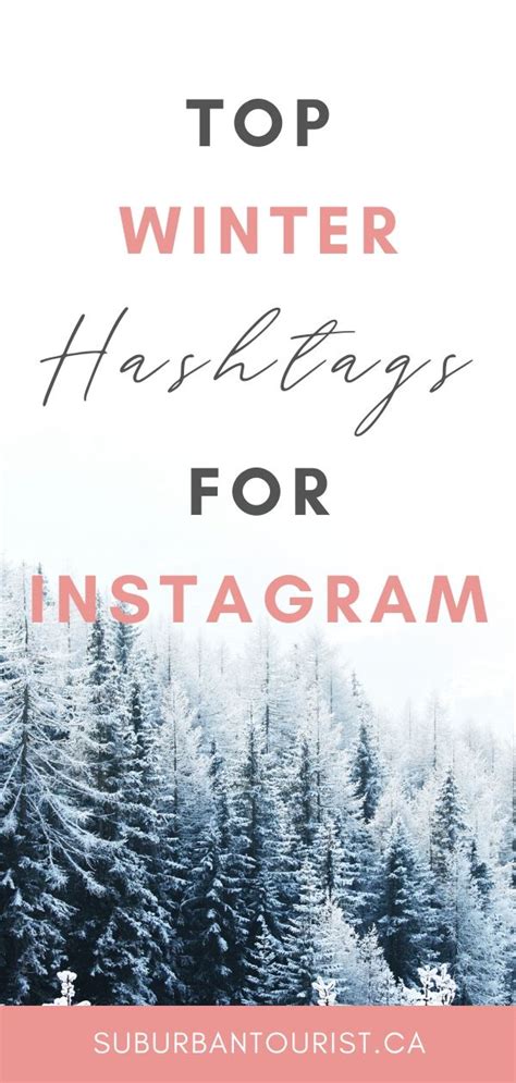 winter photography hashtags|More.